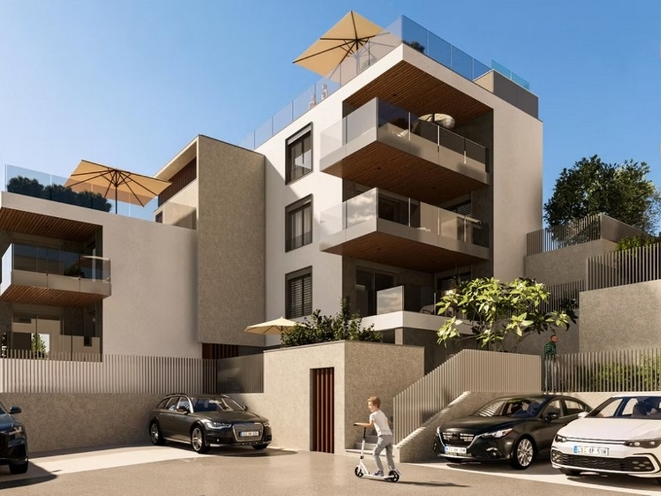 panorama-scouting-A3754-6