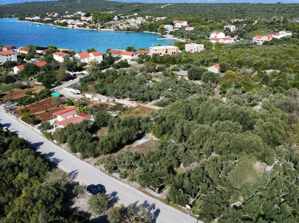 panorama-scouting-G479-8