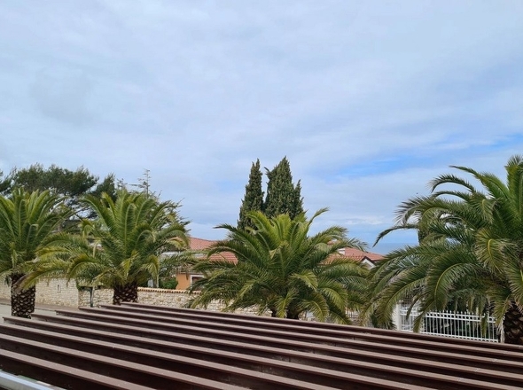 panorama-scouting-A3787-8