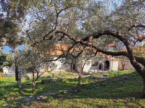 panorama-scouting-H3747-13