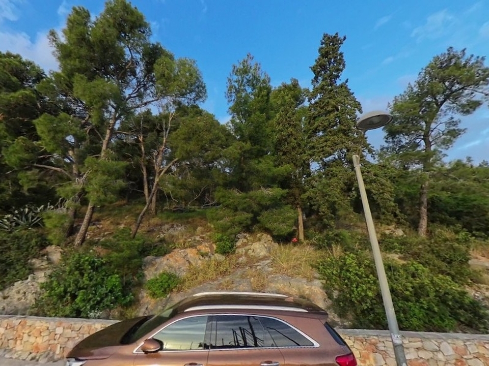 panorama-scouting-G480-7