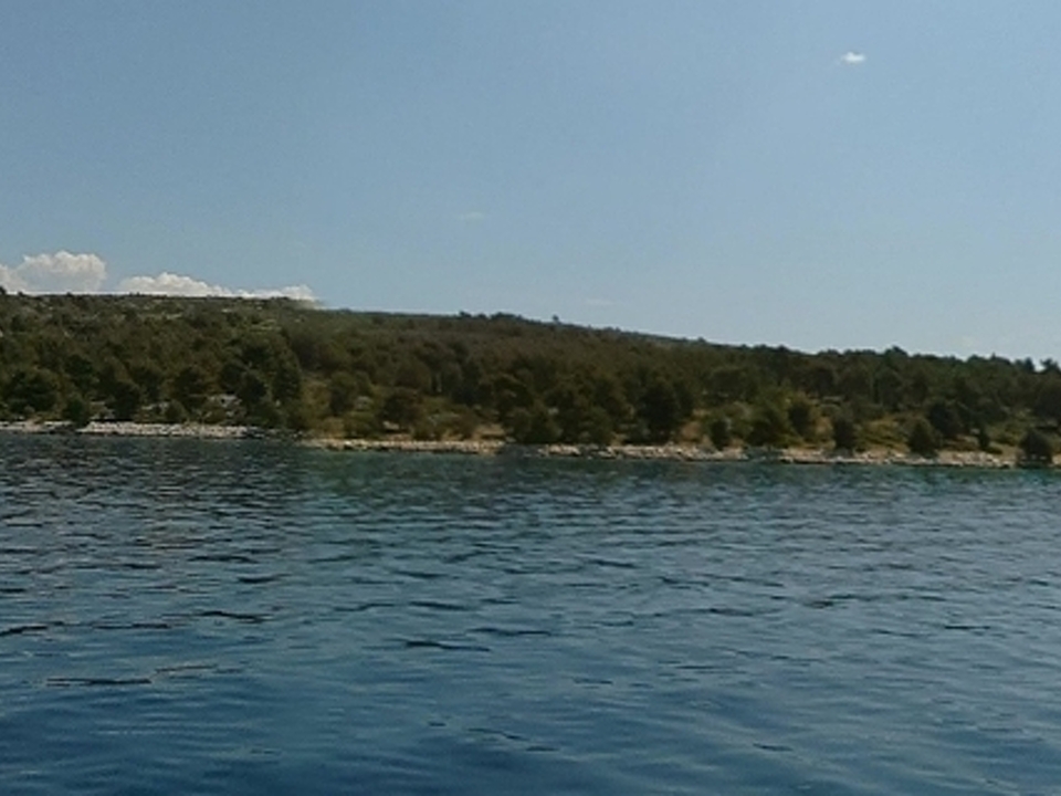 Zwischenablage_11-25-2025_01