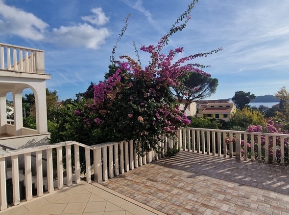 panorama-scouting-A3813-12