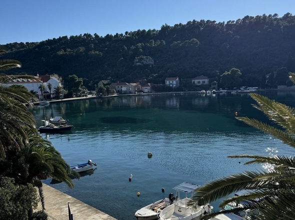 panorama-scouting-H3767-24