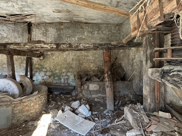 panorama-scouting-H3767-16