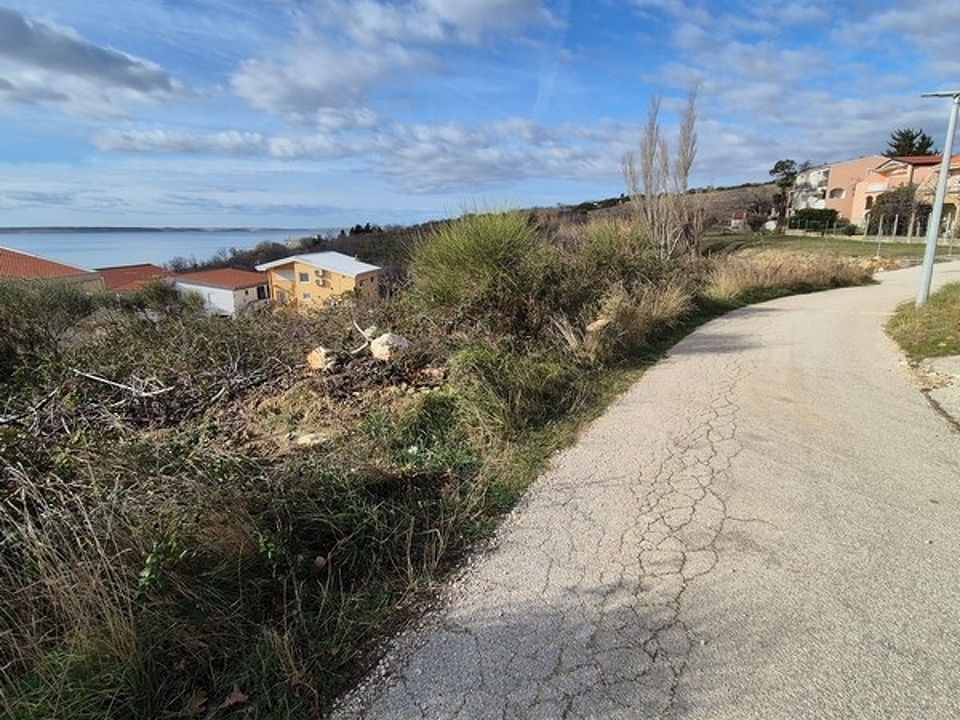 panorama-scouting-G484-6