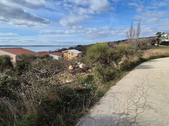 panorama-scouting-G484-7