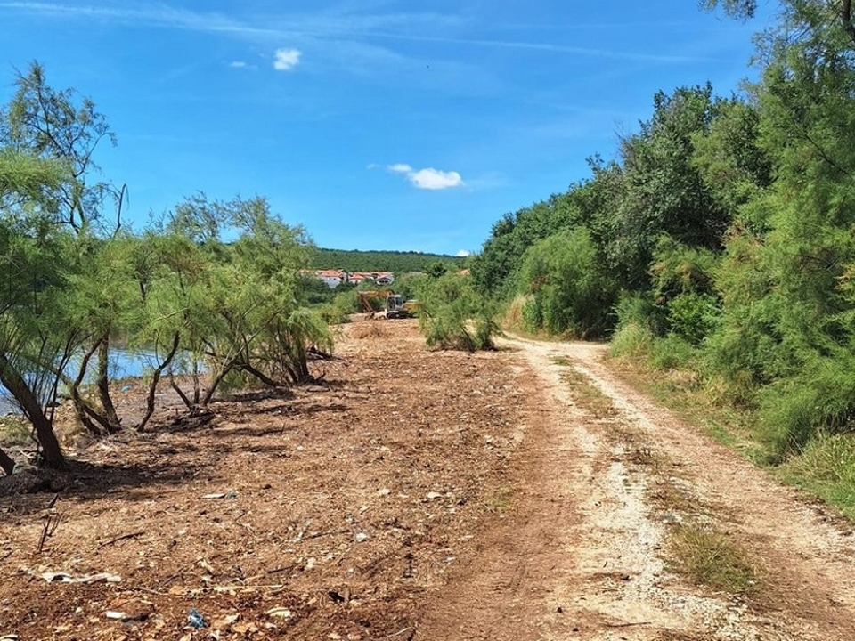 panorama-scouting-G485-2