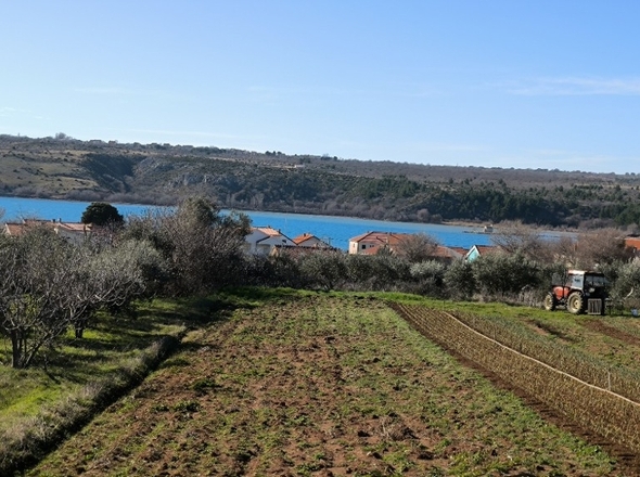 panorama-scouting-G486-5