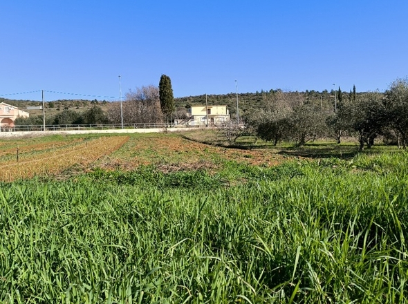 panorama-scouting-G486-3