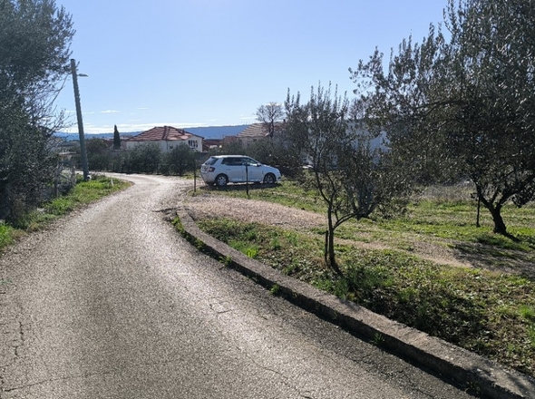 panorama-scouting-G486-1