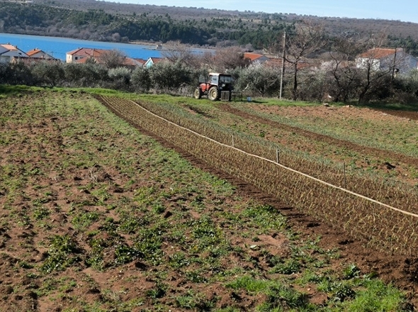 panorama-scouting-G486-6