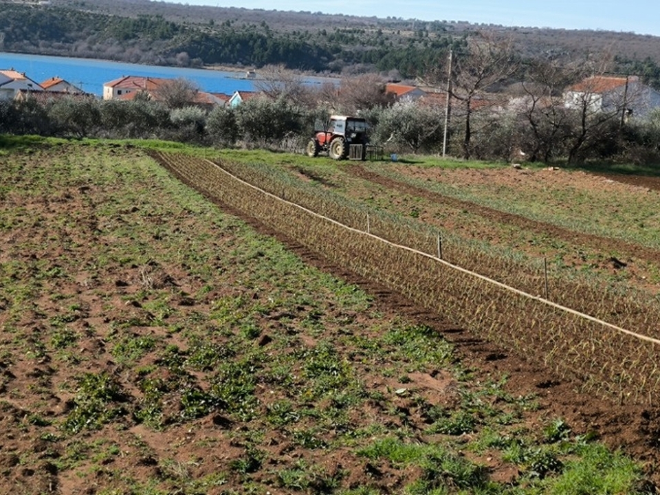 panorama-scouting-G486-6