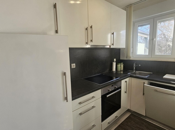 panorama-scouting-A3845-10