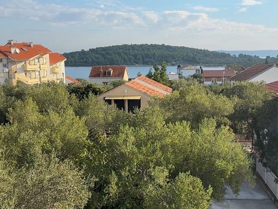 panorama-scouting-H3786-1