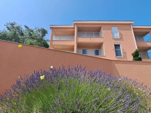 panorama-scouting-A3846-1