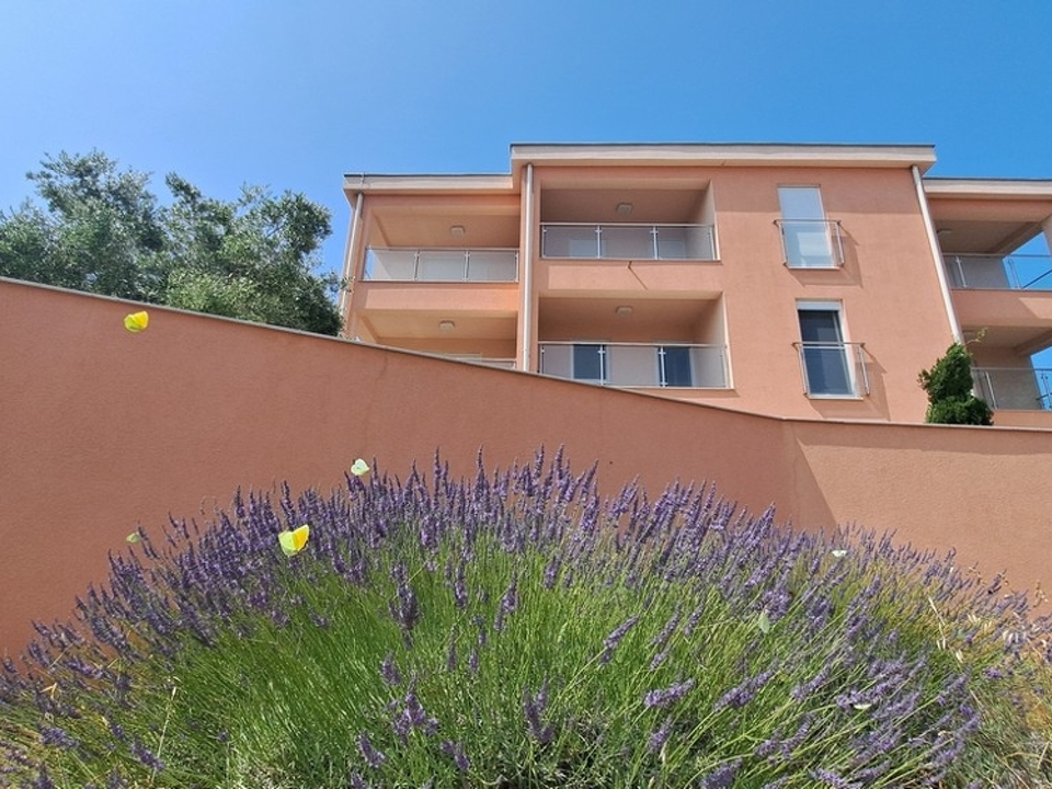 panorama-scouting-A3846-1