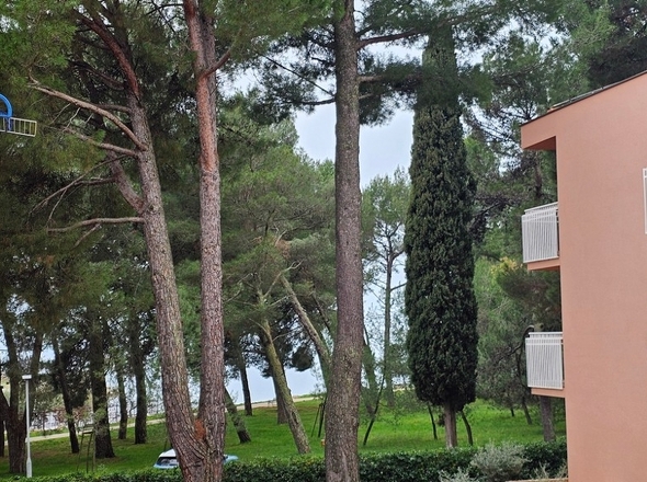 panorama-scouting-A3862-2