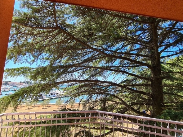 panorama-scouting-A3868-4