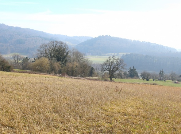 Hegauvulkanlandschaft