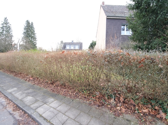 Ansicht von der Straße