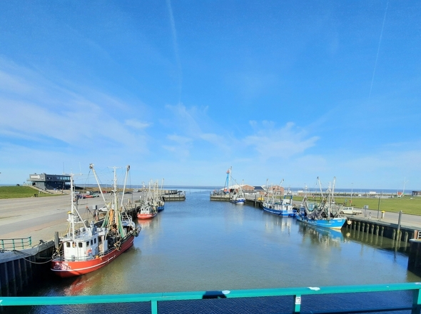 Foto_Hafen_Dornumersiel_03-26