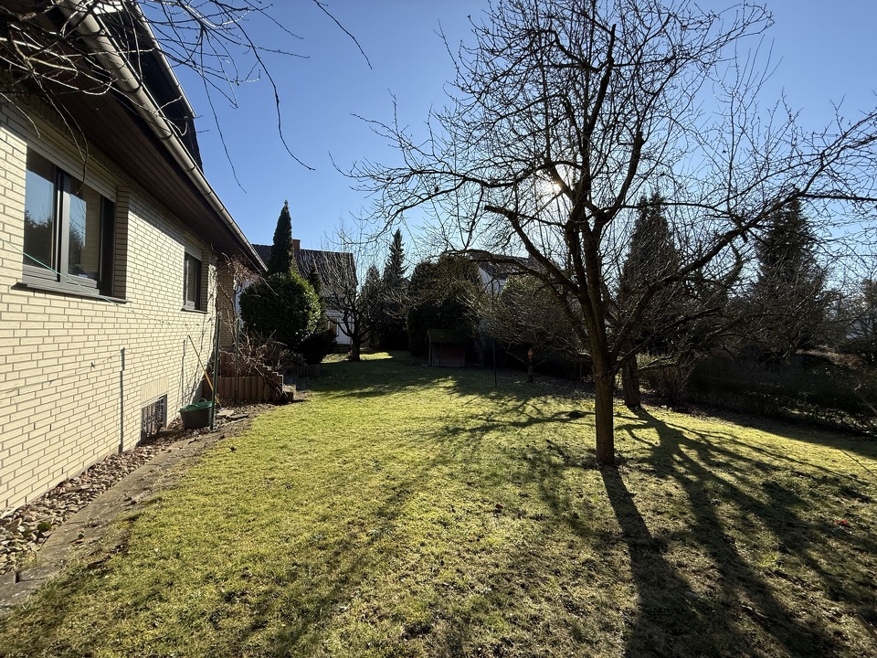 Sonniger Gartenbereich