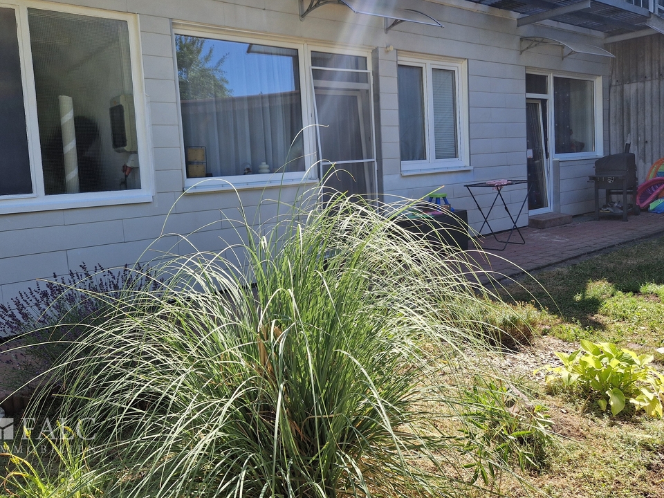 Terrasse + Gartenbereich