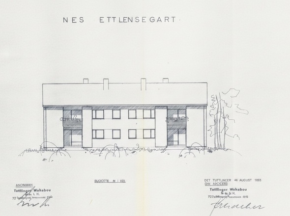 Schnitte Rückseite hell