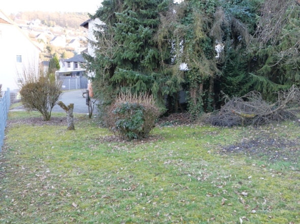 Blick aufs Grundstück