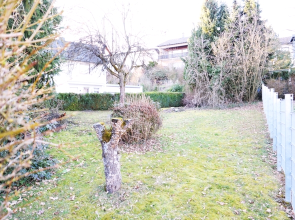 Blick aufs Grundstück