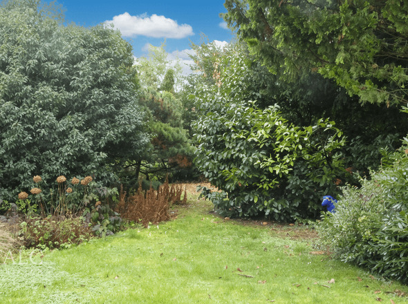 Blick in den Garten