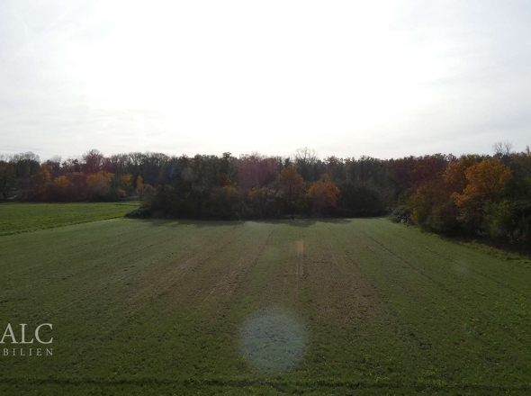 Blick über das Feld