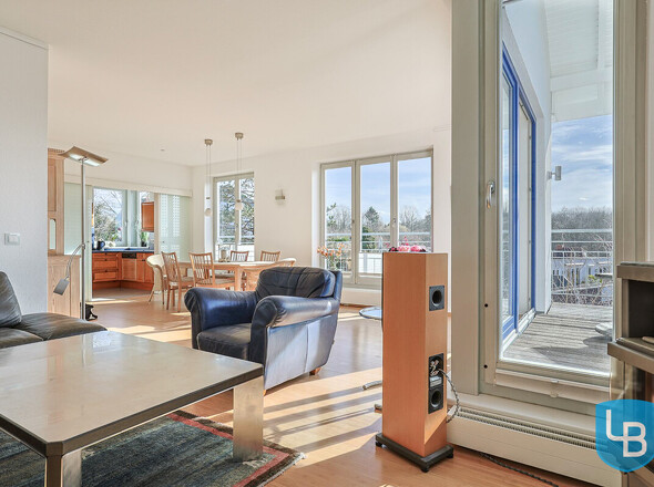 Wohnbereich mit Zugang zur Dachterrasse