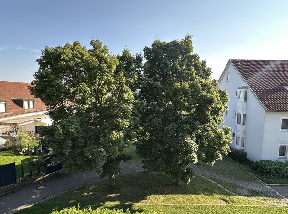 Blick vom Balkon Südseite