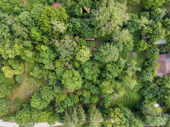 (Sing-)Vogelperspektive