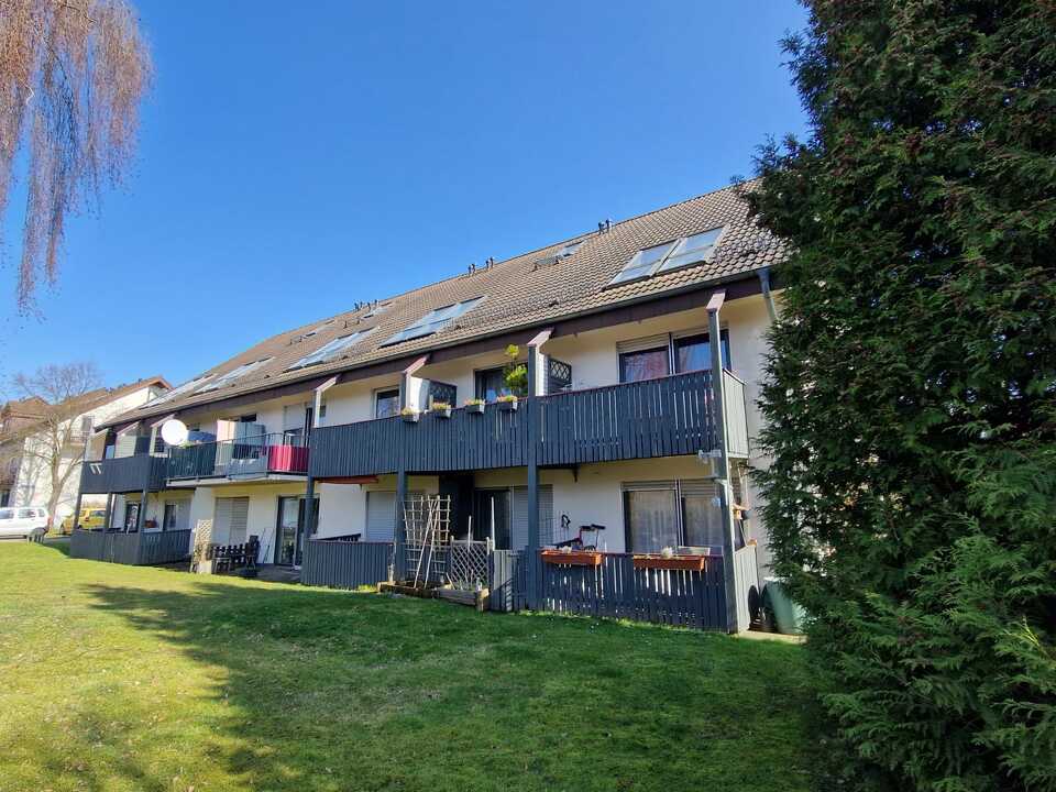 WhatsApp Image 2026-03-12 at 09.42.06 (1)