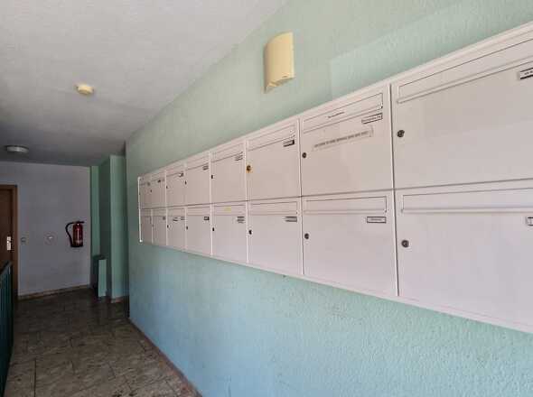 WhatsApp Image 2026-03-12 at 09.42.05 (2)