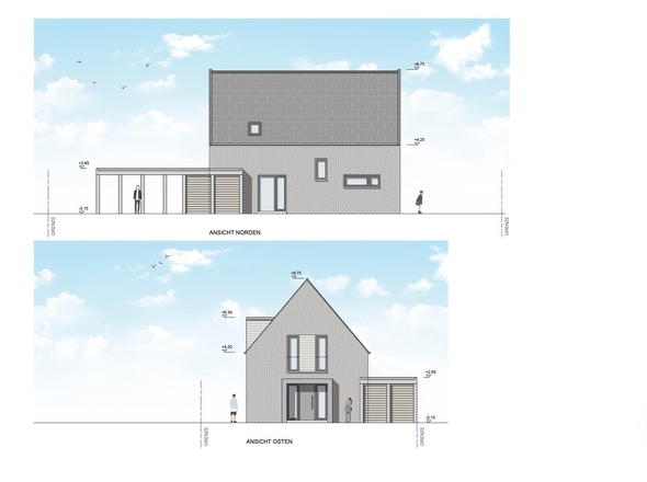 BV_EH C2 ANO_compressed