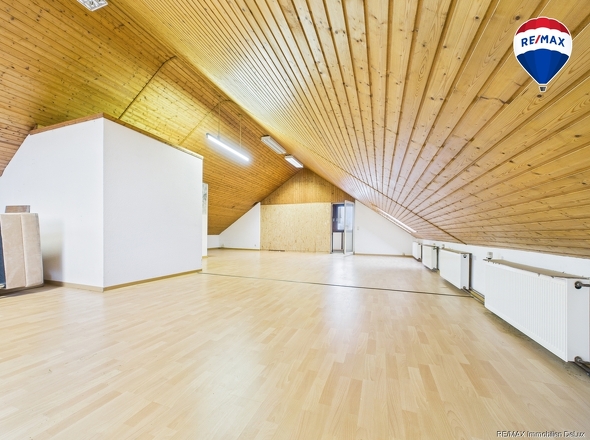 REMAX Immobilien DeLux Einfamilienhau Zimmer Eppelborn Mark Borowicz-PR0031-STILL016