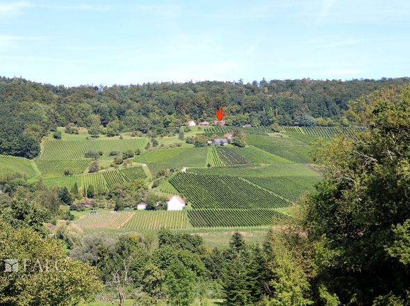 Mitten in den Weinbergen 