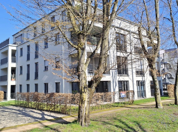 WhatsApp Image 2026-03-03 at 11.45.32