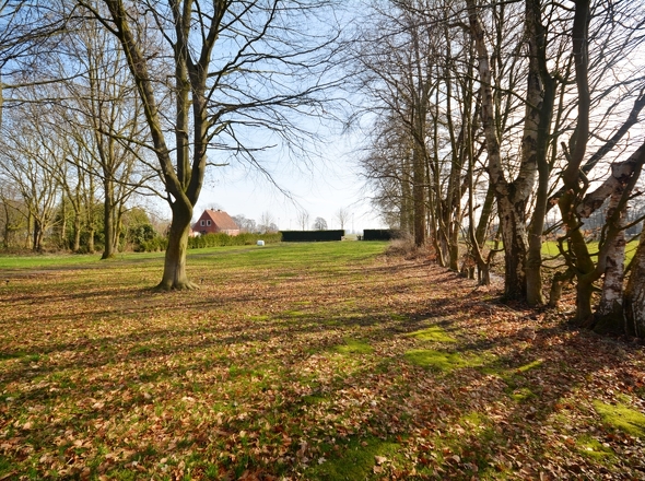 Grundstück nach vorne