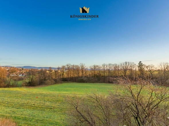 Aussicht vom Balkon EG