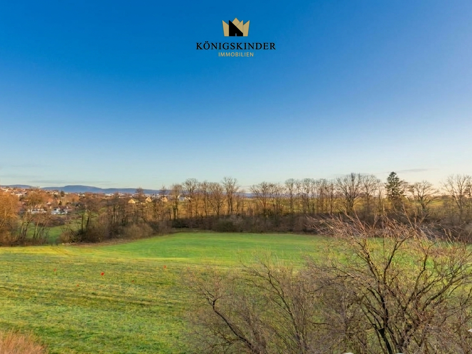 Aussicht vom Balkon EG