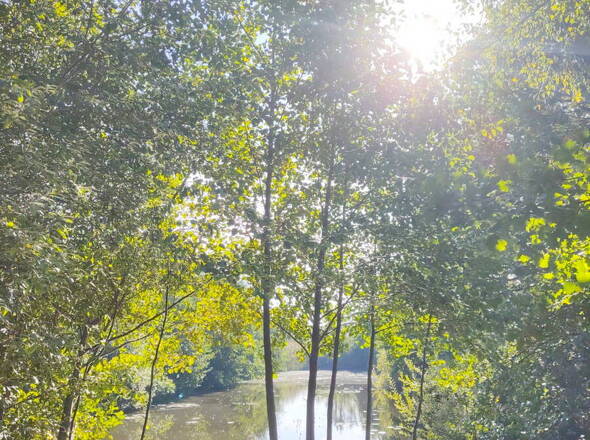 Teich nahe dem Wohnhaus