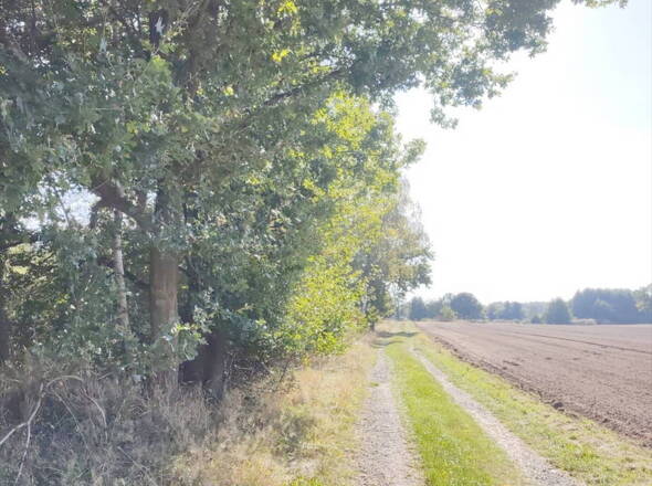Natur pur - Wiesen und Felder direkt vor Ihrer Haustür