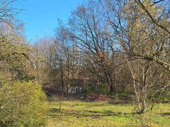 Parkähnlicher Garten #2