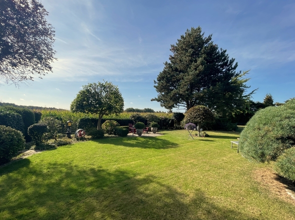 Ruhe oder Spielen und Toben