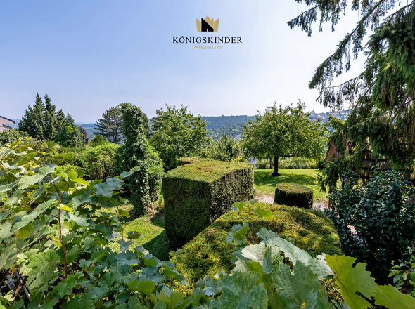 Aussicht_Balkon_DSC3929